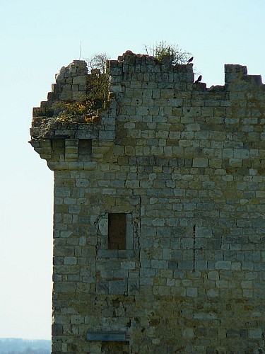Village et Château de Lagardère