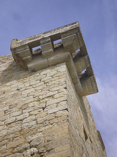 Village et Château de Lagardère