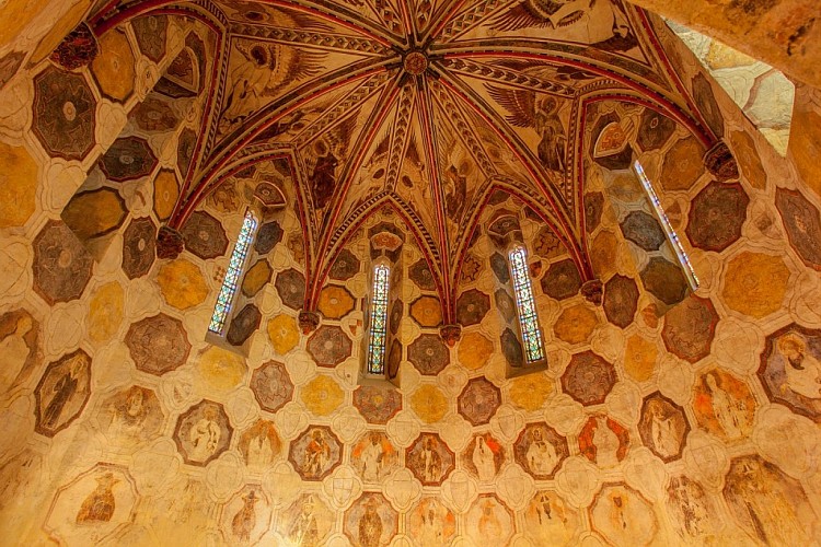 Ensemble Collégial Saint-Pierre de la Romieu