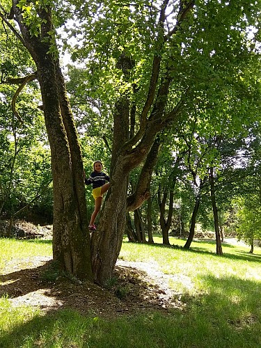 Laver son Linge - Clé des Champs N°14/15