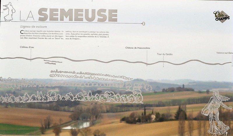 La Semeuse - Clé des Champs N°11/15