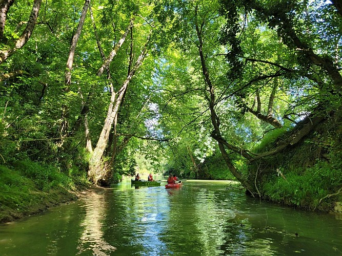 Un Grand Vert d'Armagnac : Paysages Vivants et Biodiversité