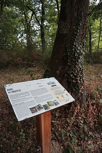 Un Grand Vert d'Armagnac : Paysages Vivants et Biodiversité