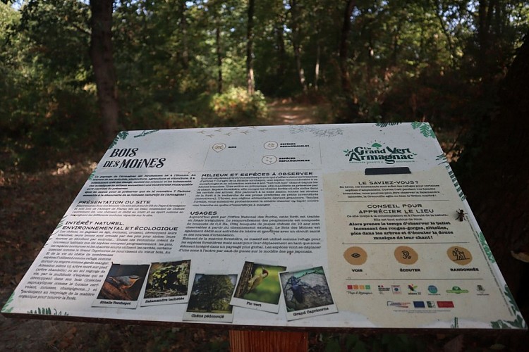 Un Grand Vert d'Armagnac : Paysages Vivants et Biodiversité