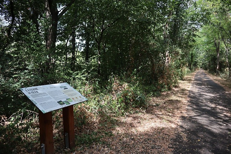 Un Grand Vert d'Armagnac : Paysages Vivants et Biodiversité