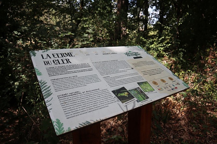 Un Grand Vert d'Armagnac : Paysages Vivants et Biodiversité