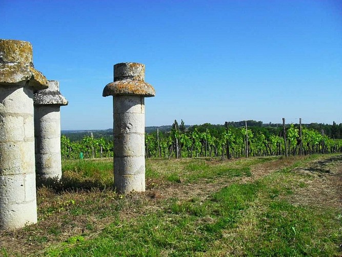 La Tour et la Chapelle de Lamothe
