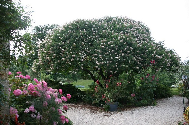 Les Jardins de Coursiana
