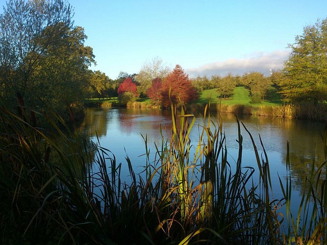 Les Jardins de Coursiana