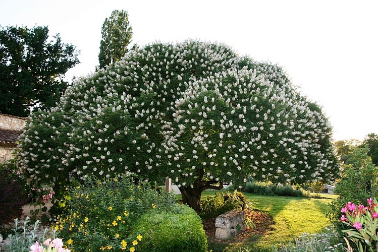 Les Jardins de Coursiana