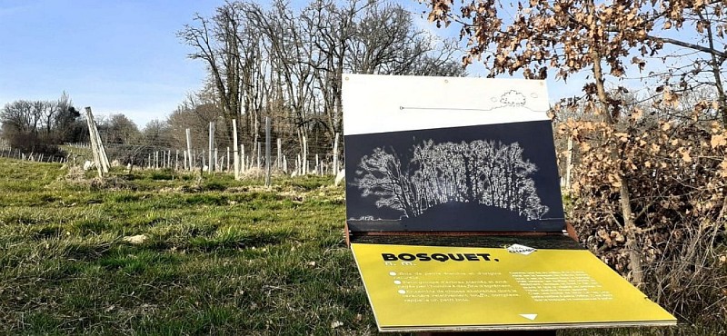 L'île Mystérieuse - Clé des Champs N°6/15