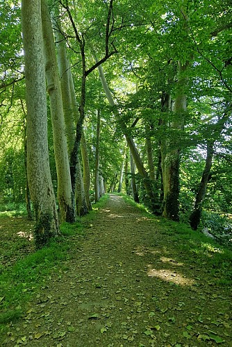Château de l'Isle de Noé