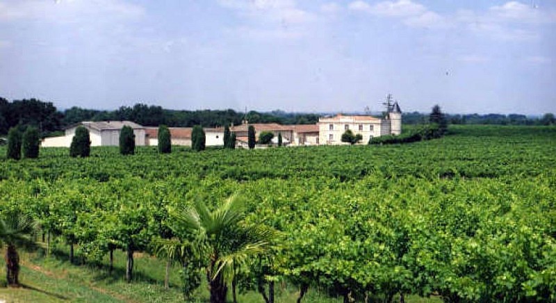 Château Lafitte