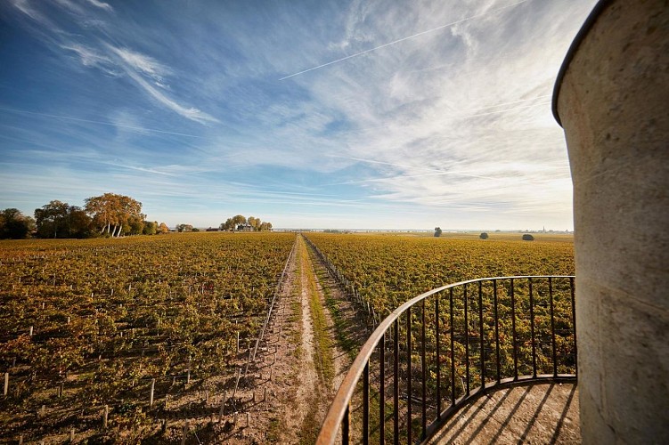 image-moyen-chateau-pichon-baron-serge-chapuis-2017_7