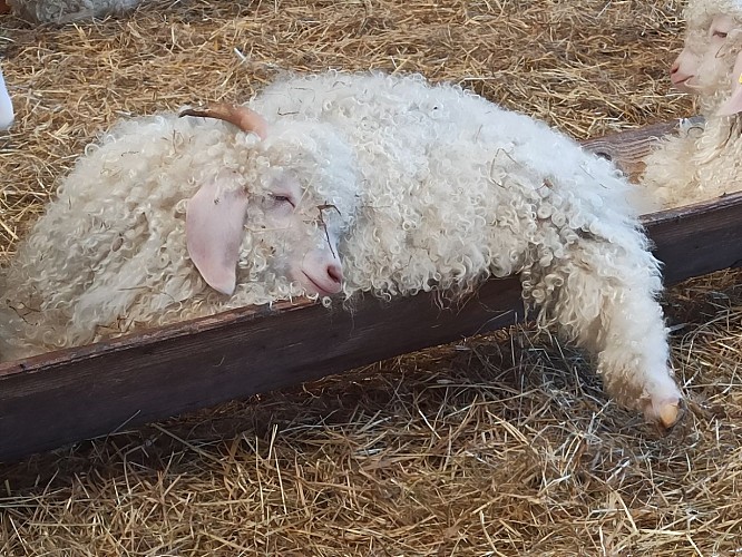 IMG_20250724_171700(1)