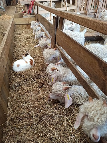 IMG_20250720_131320(1)