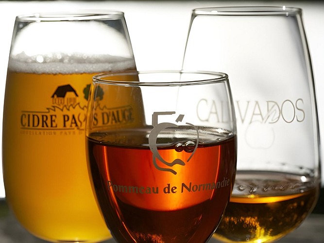 Verres de calvados, cidre et pommeau