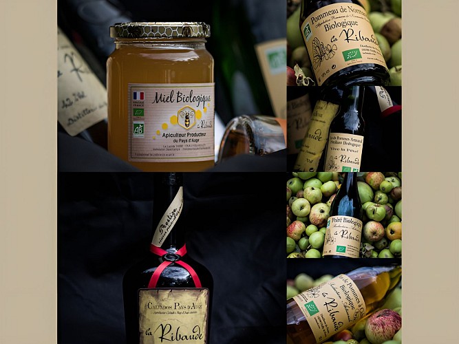 ribaude calvados - 1