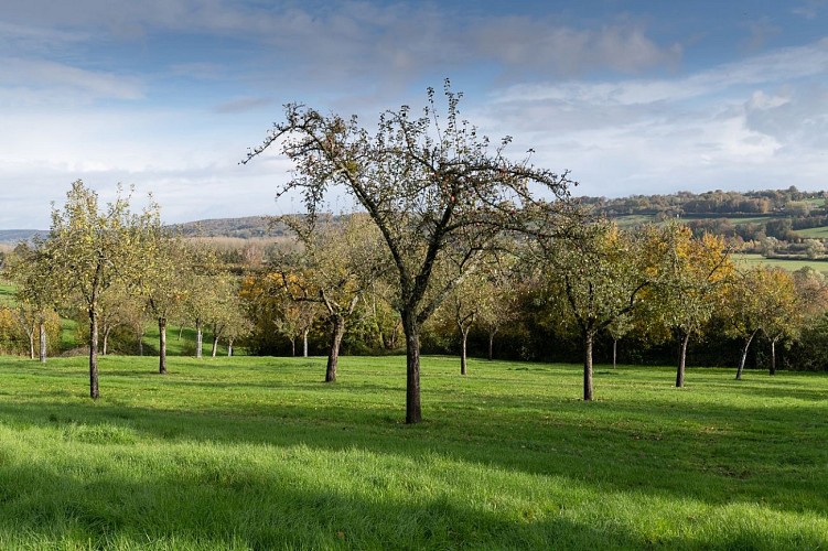 Vergers du Lieu Chéri