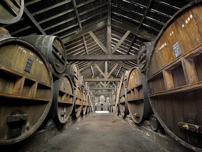 Dystillerie Roger Groult -Photo Julien Boisard (3)