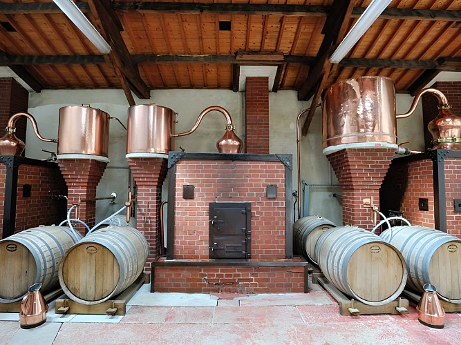 Distillerie Roger Groult