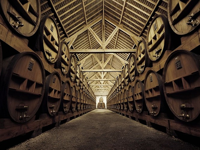 Dystillerie Roger Groult -Photo Julien Boisard (1)