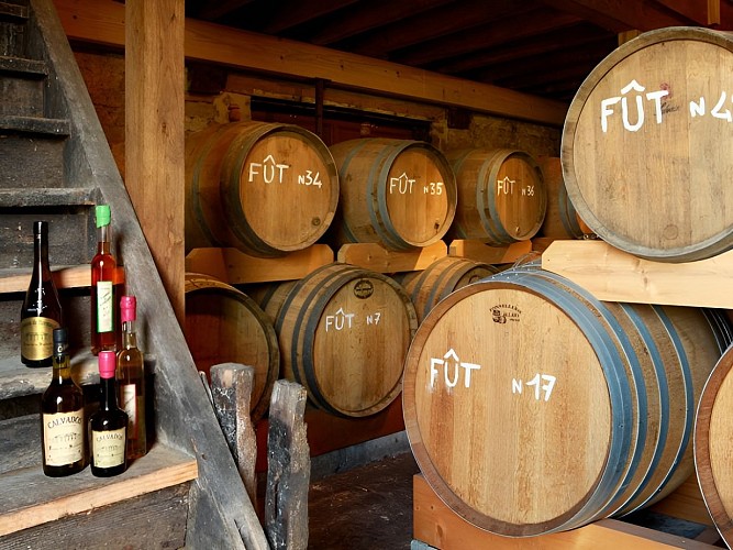 SAINT LAURENT SUR MER_Ferme de la Sapinière