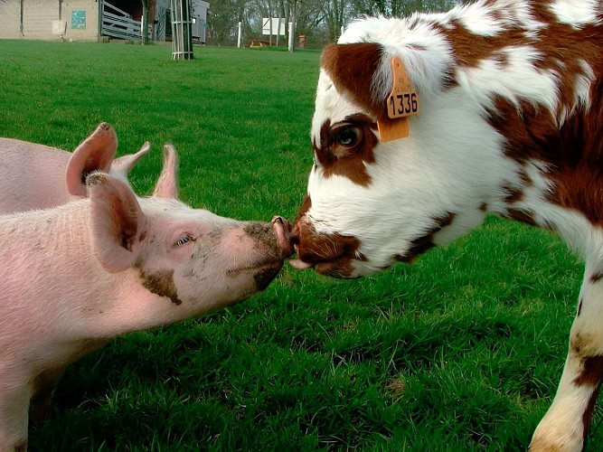 Ferme du lieu Roussel