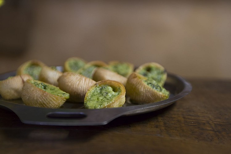 VisiteInsolite_Botanique_Escargot_WEB-55