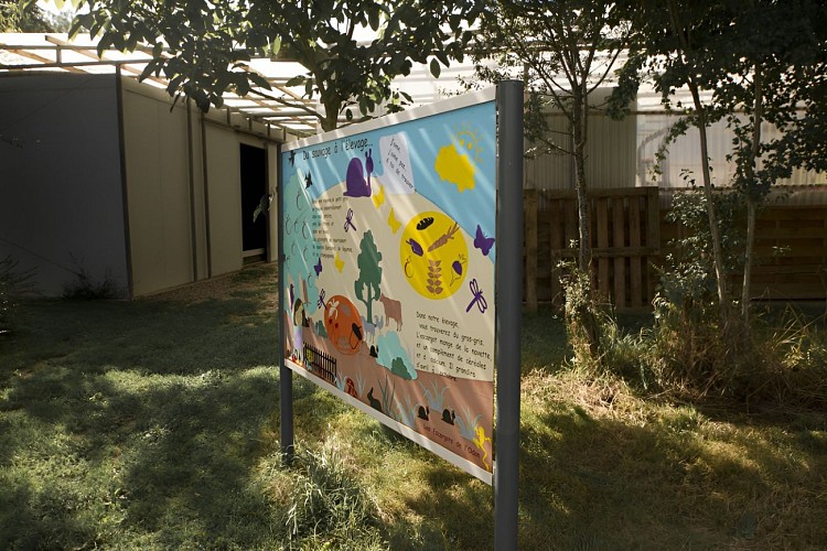 VisiteInsolite_Botanique_Escargot_WEB-17