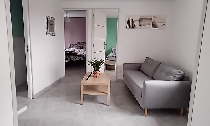 IMG_20230205_114425_161