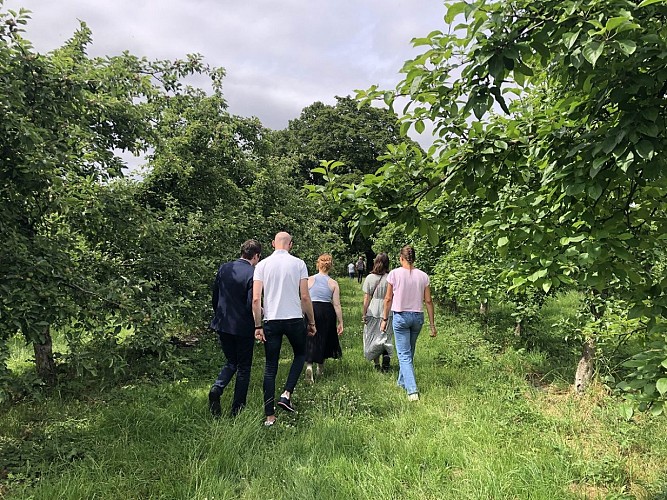 les-verger-de-ducy-credit-mathilde-lelandais (10)