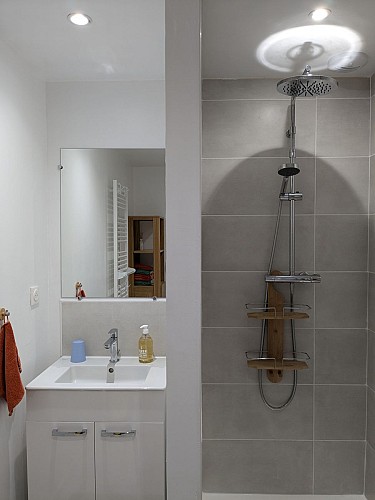 Perroquet 8 - lavabo et douche (1)