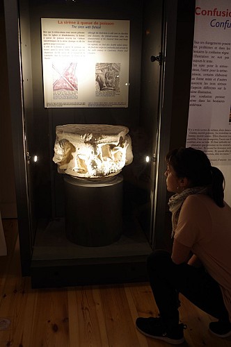 Exposition "Sirènes et Fossiles"