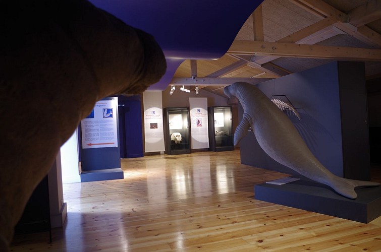 Exposition "Sirènes et Fossiles"