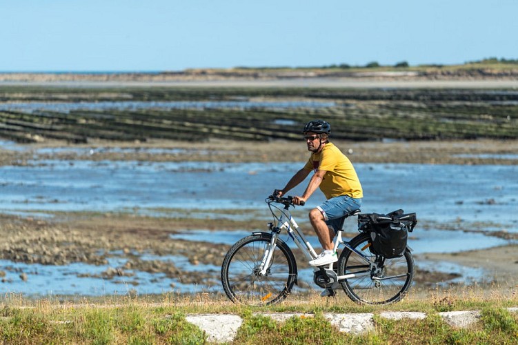 2019_Saint_Vaast_la_Hougue_velocyclistes_EV4_6519-Emmanuel_Berthier_pour_l_EV4_Latitude_Manche.jpg-800px
