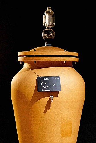 MAUPERIER TAVA