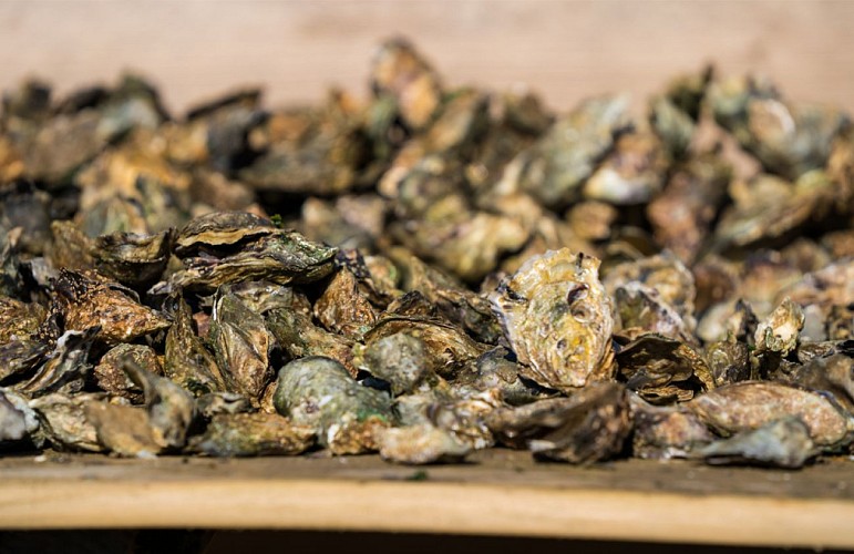 Huitres-13