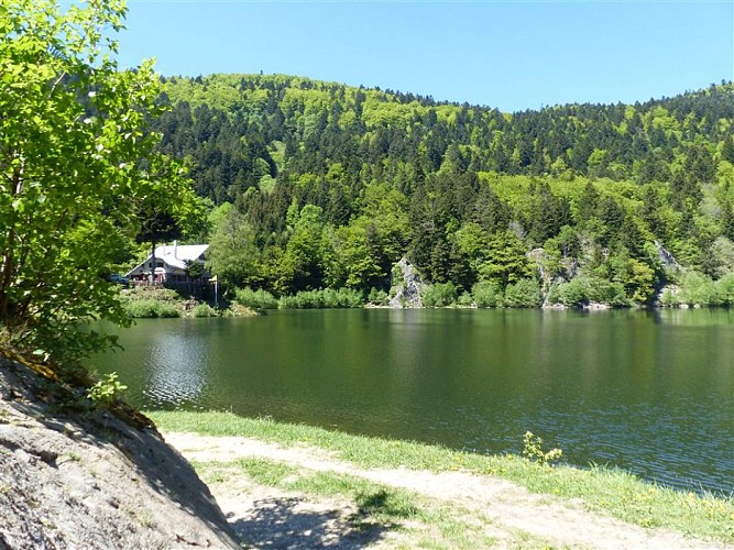 Lacs du Neuweiher