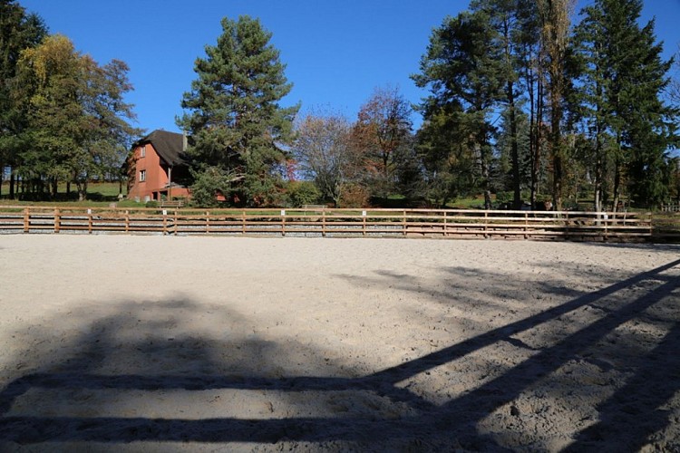 JTM Poney Club du Haut Bois