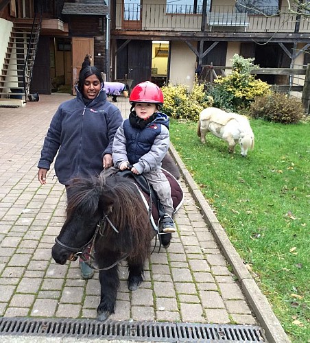 JTM Poney Club du Haut Bois