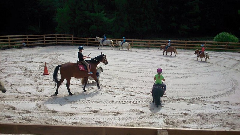 JTM Poney Club du Haut Bois