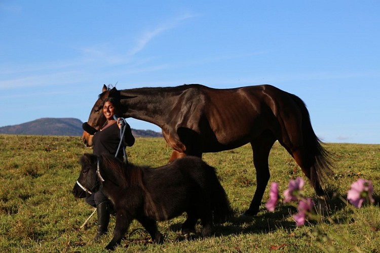 JTM Poney Club du Haut Bois