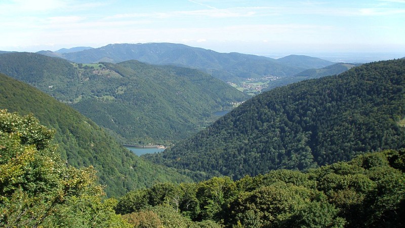 Vue sur la vallée de la Doller