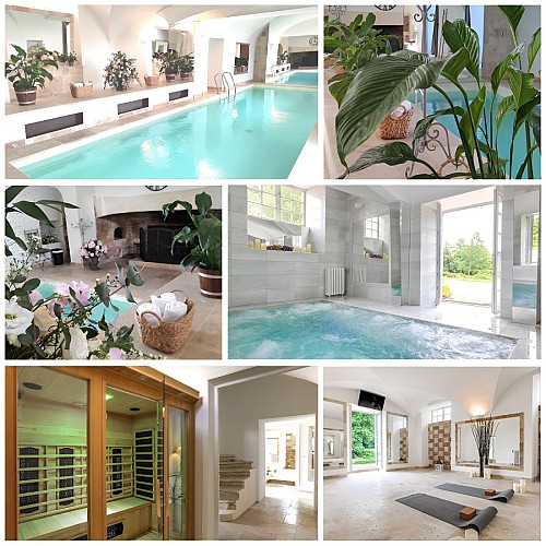 SPA Piscine jacuzzi sauna