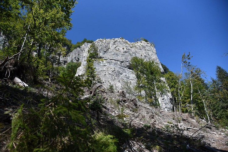 The Pierre à Voix (limestone monolith)