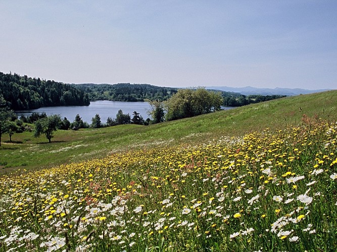 Lastioulles reservoir (fishing site)