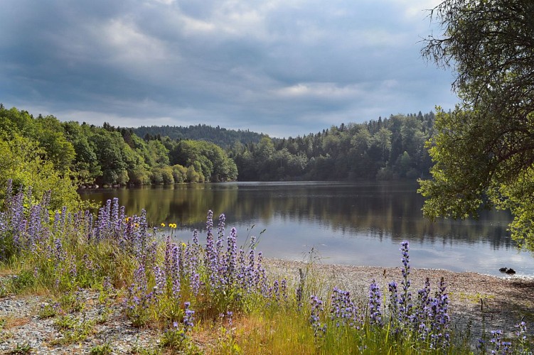 Retenue du Taurons (site de pêche)