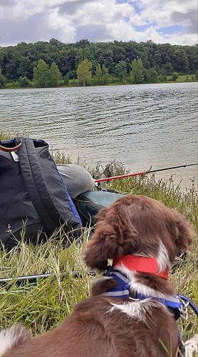 Pêche au lac du Bousquetara