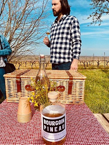 Les visites hippomobiles Bourgoin Cognac